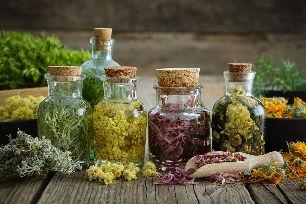 bottles of oil with herbal infusions