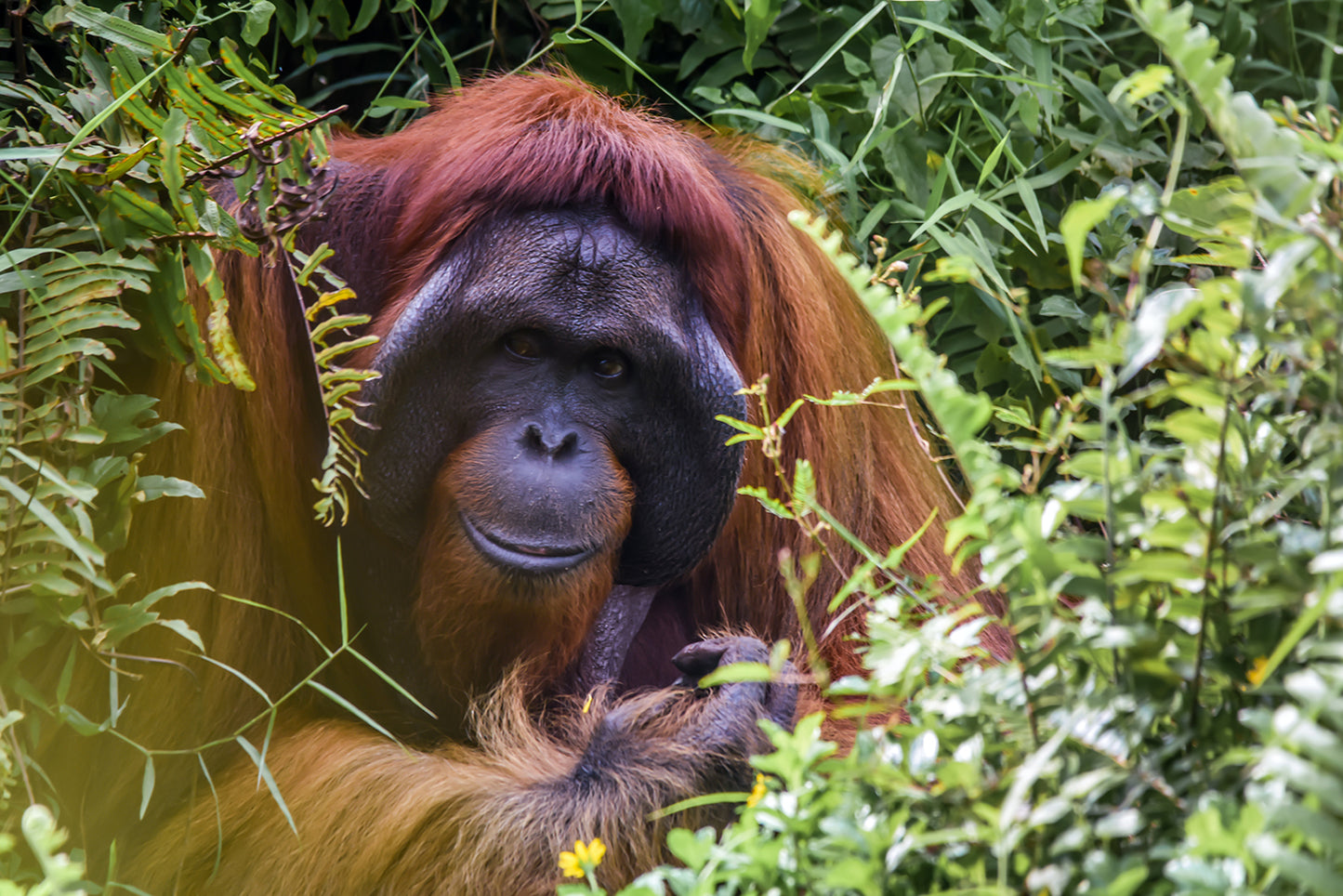 The 3 major environmental beauty concerns you need to know about