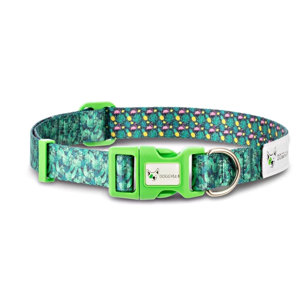 Eco Friendly Dog Collar made from recycled plastic