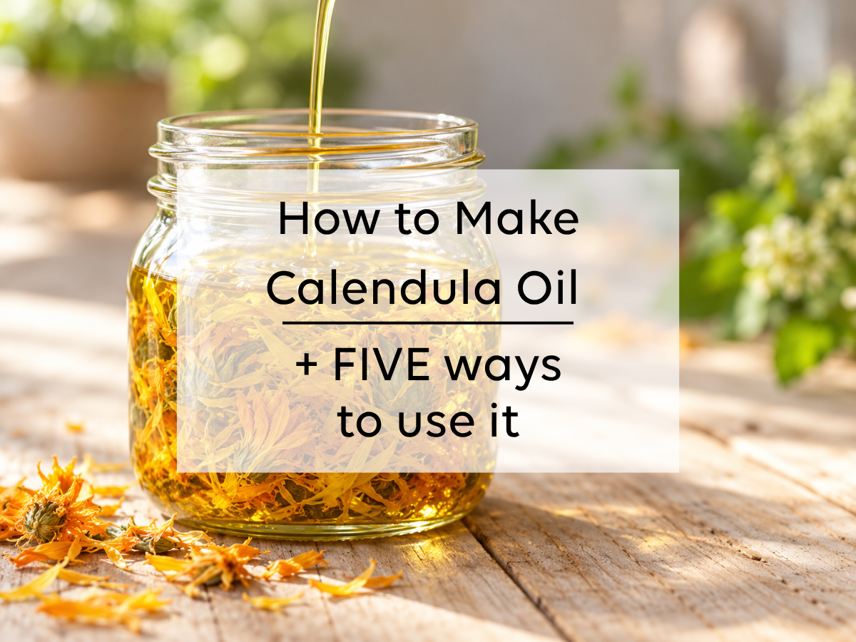 How to Make Calendula Infused Oil + 5 Ways to Use It