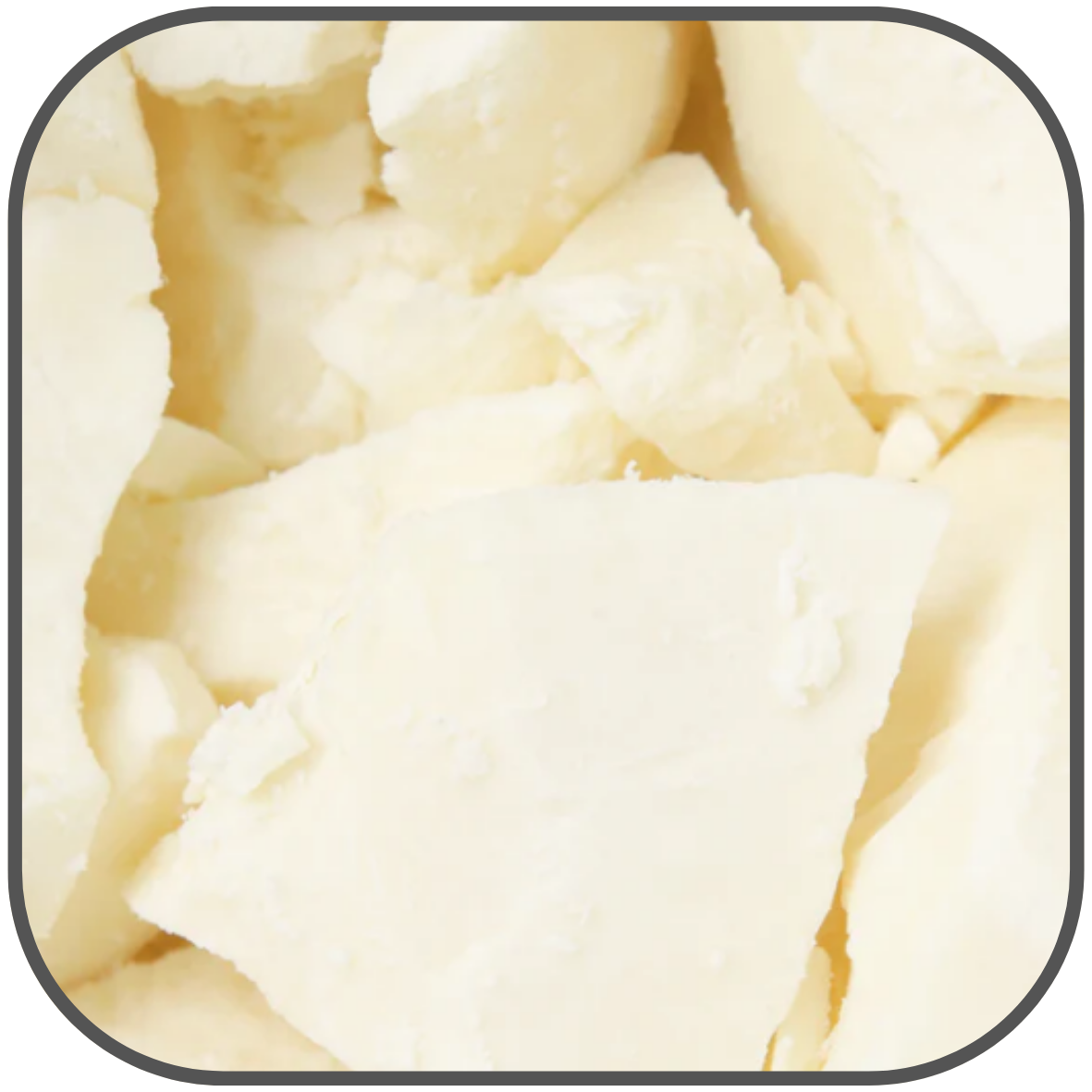 Kokum Butter for use in DIY Skincare