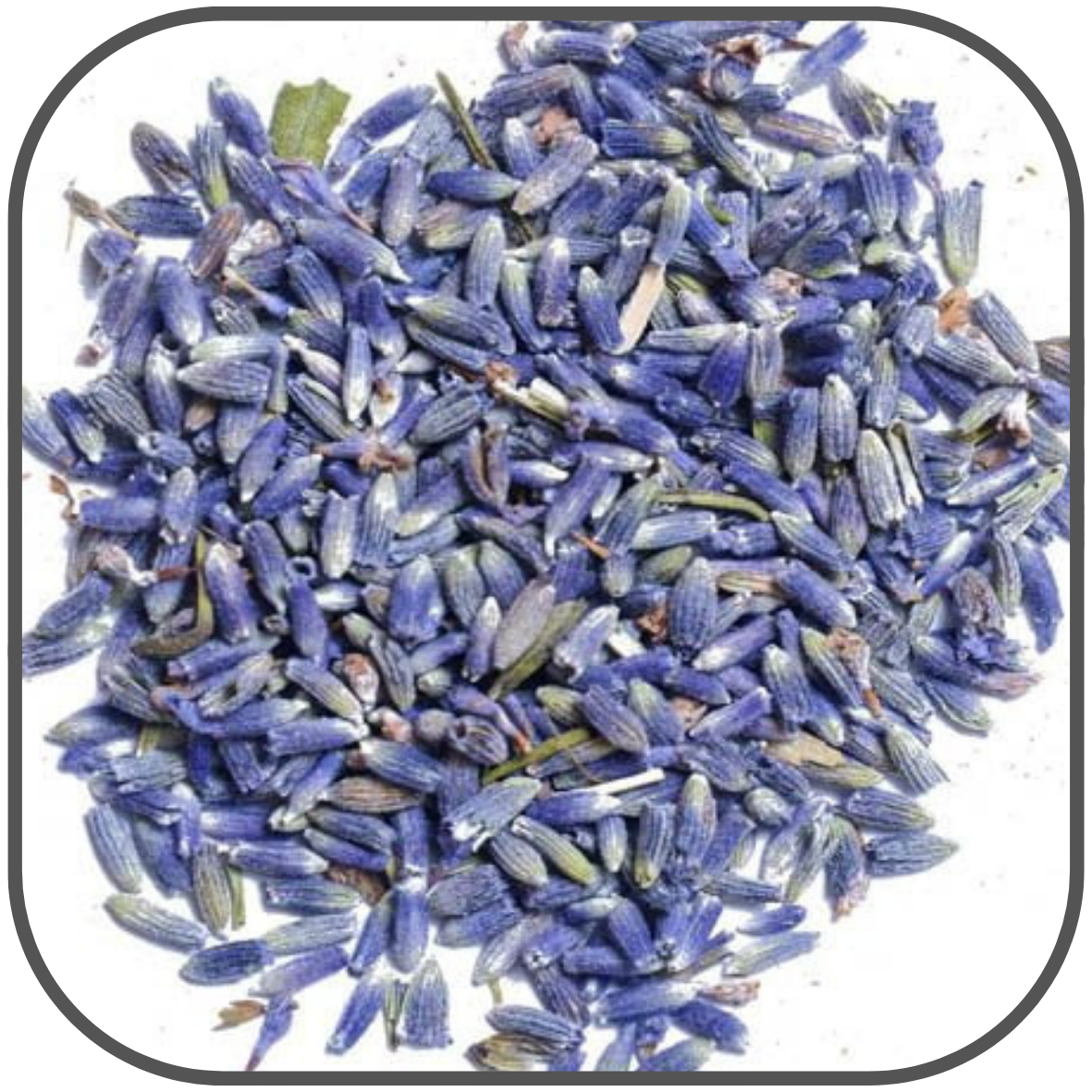 Lavender Flowers for DIY Bath Bombs and Bath Salts